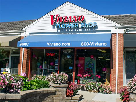 Viviano flower shop - Let us know! Call 800-VIVIANO (848-4266), send us a message online or email flowers@viviano.com. We want you to experience full confidence that we will take the very best care of your order from request to delivery and beyond.